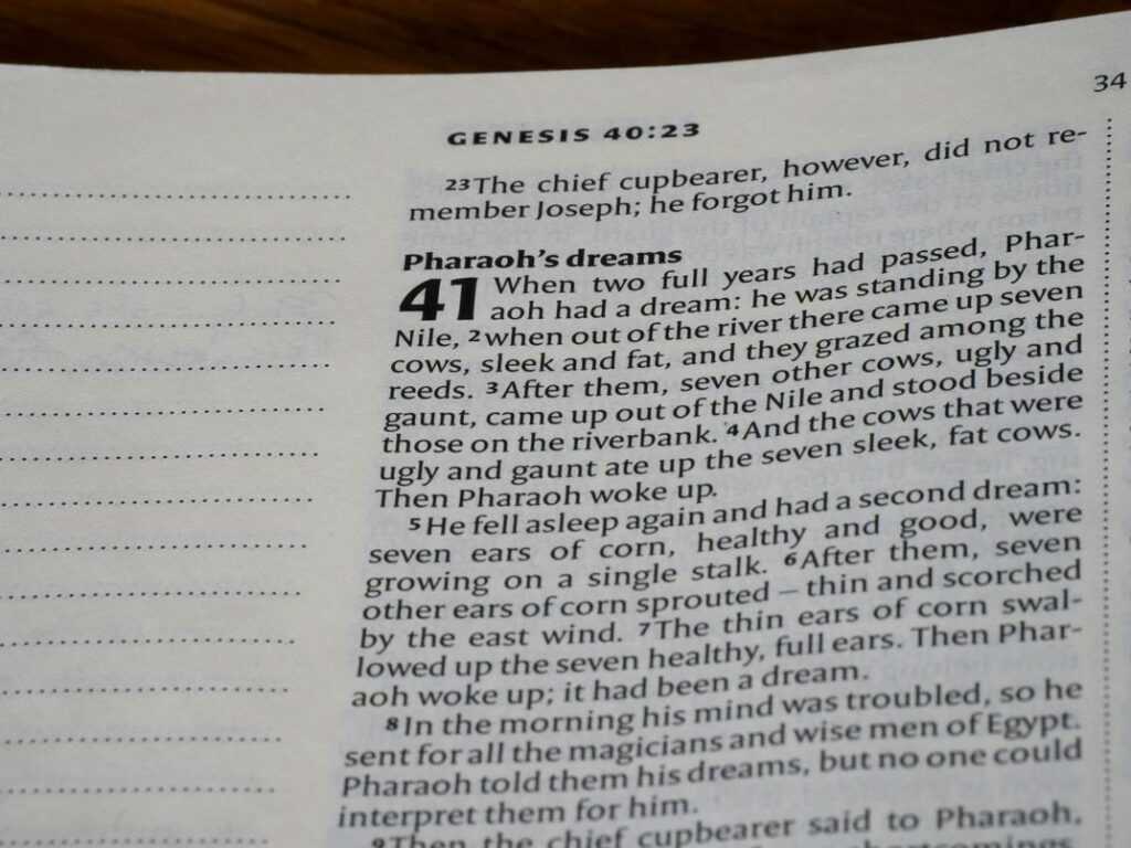 Guidance Interpretation