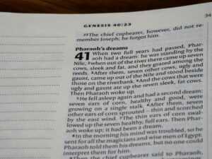 Guidance Interpretation