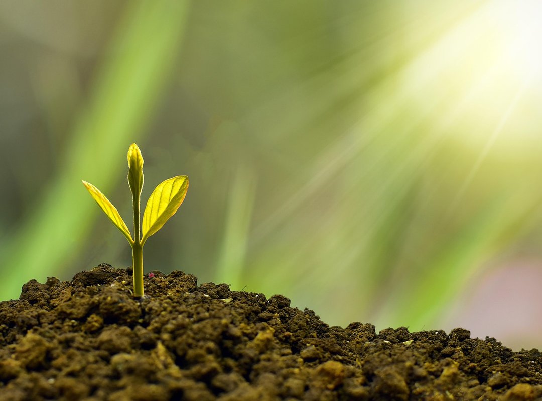 green finance sustainable investments