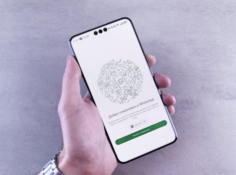 negro whatsapp lo sintieron