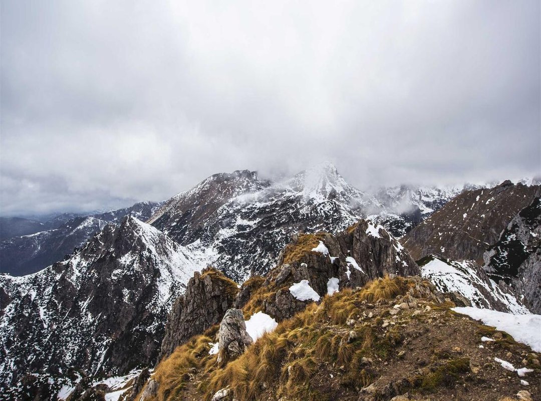 How to Exchange Your Pesos: A Step-by-Step Guide