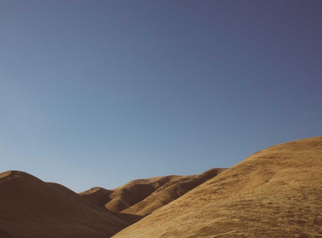 From Weddings to Instagram: Where the Theme Comes to Life