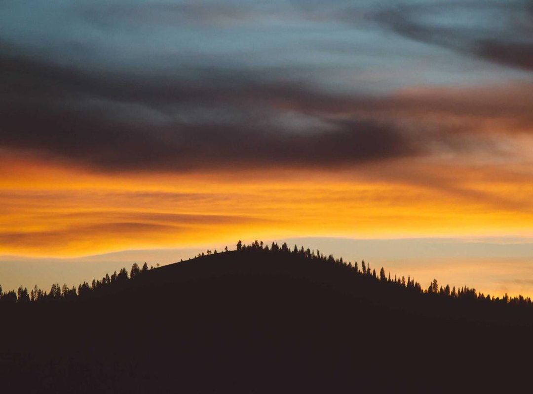 Comparing Styles: Which Aesthetic is Right for Your Device?