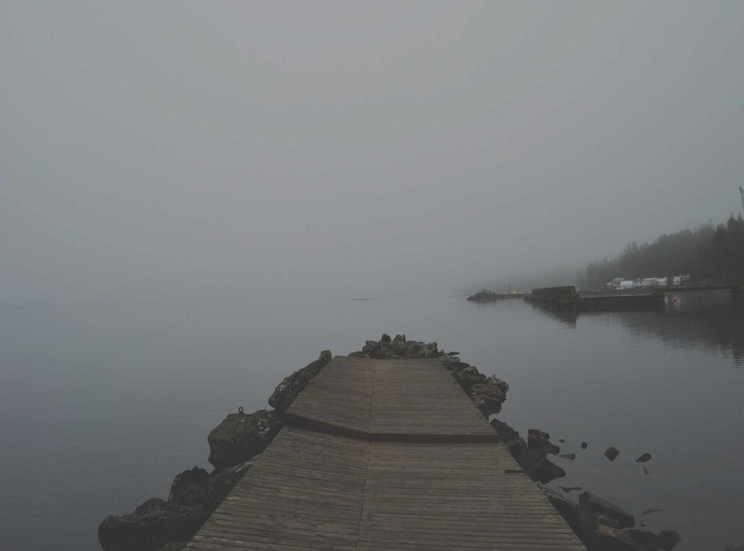 Creative & Brush-Style Bold Fonts