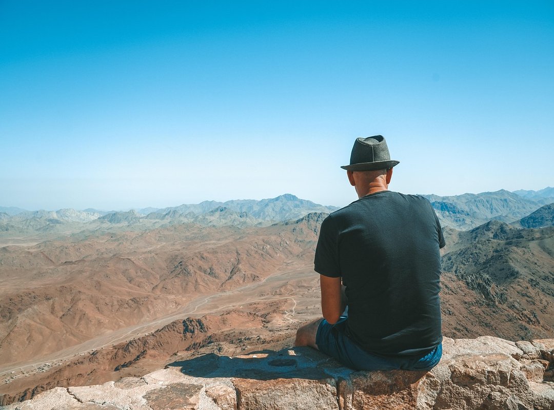 What to Look for in Meme Flork Stickers PNG