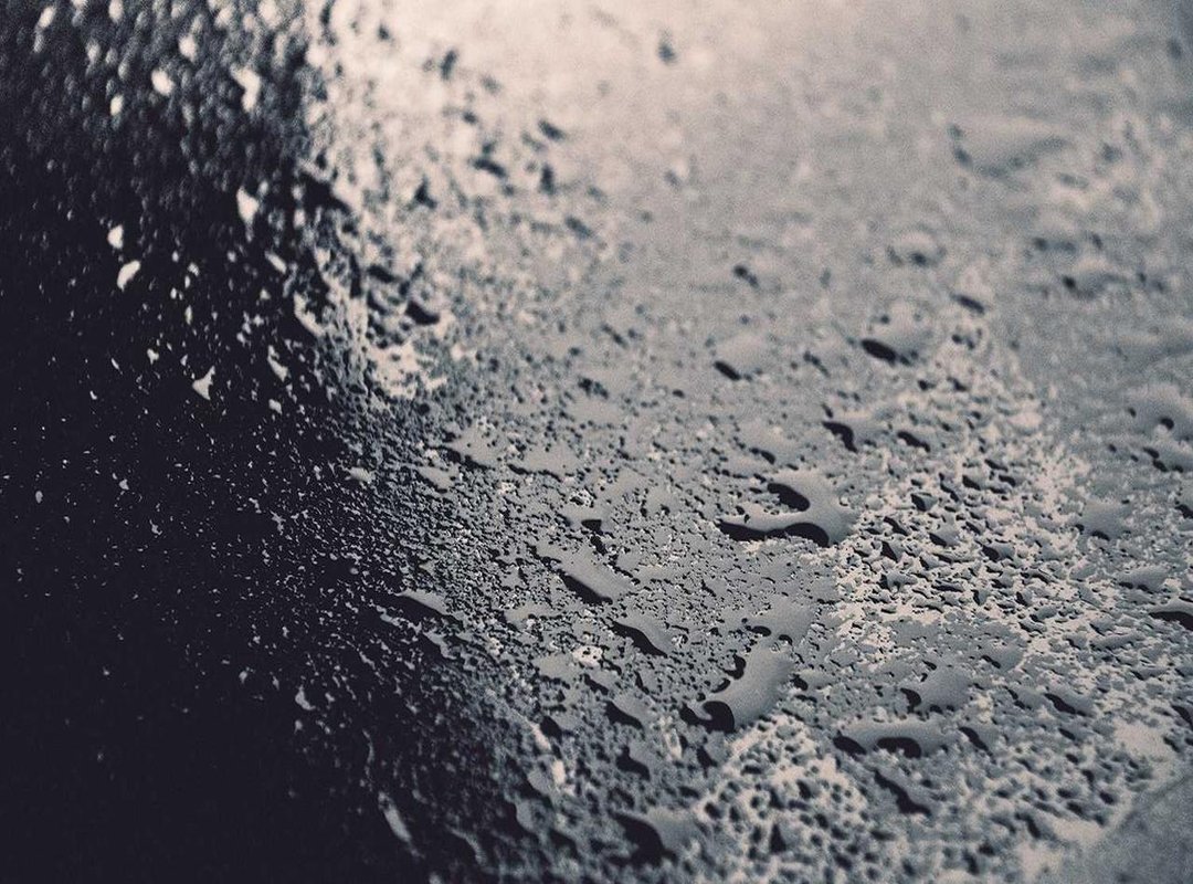 The Pros and Cons: What Real Users Are Saying